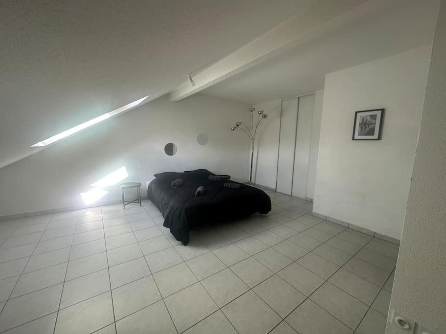 Charmant Appartement Spacieux Prévessin Екстериор снимка