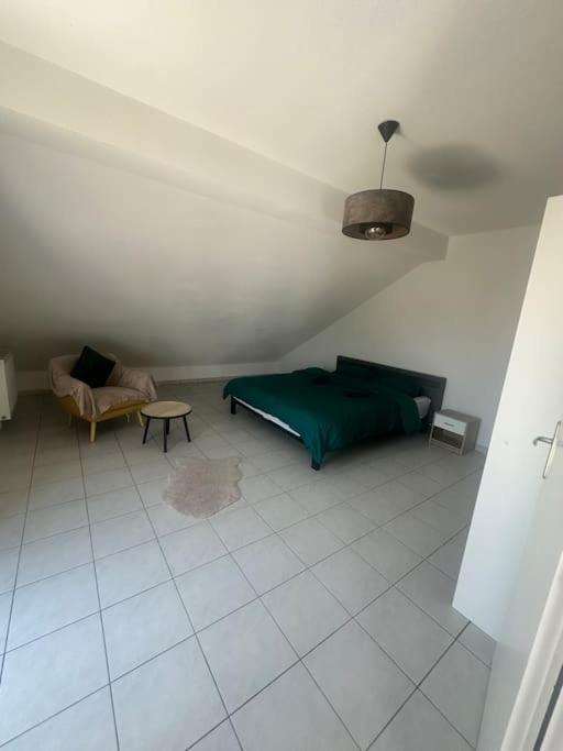 Charmant Appartement Spacieux Prévessin Екстериор снимка